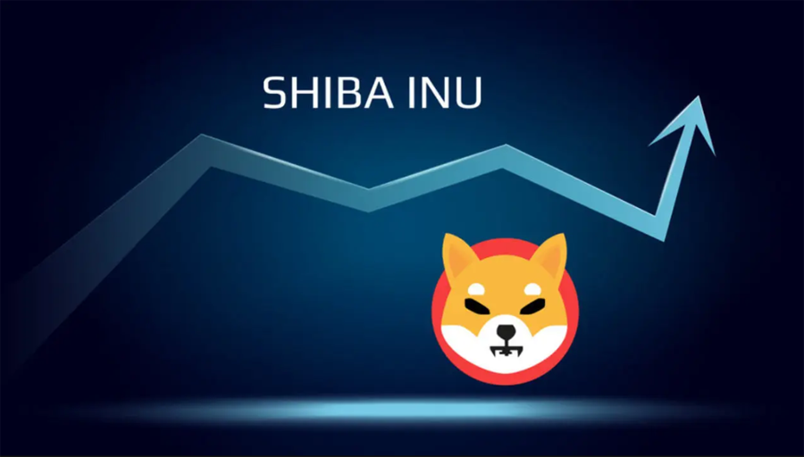 What is a Shiba Inu