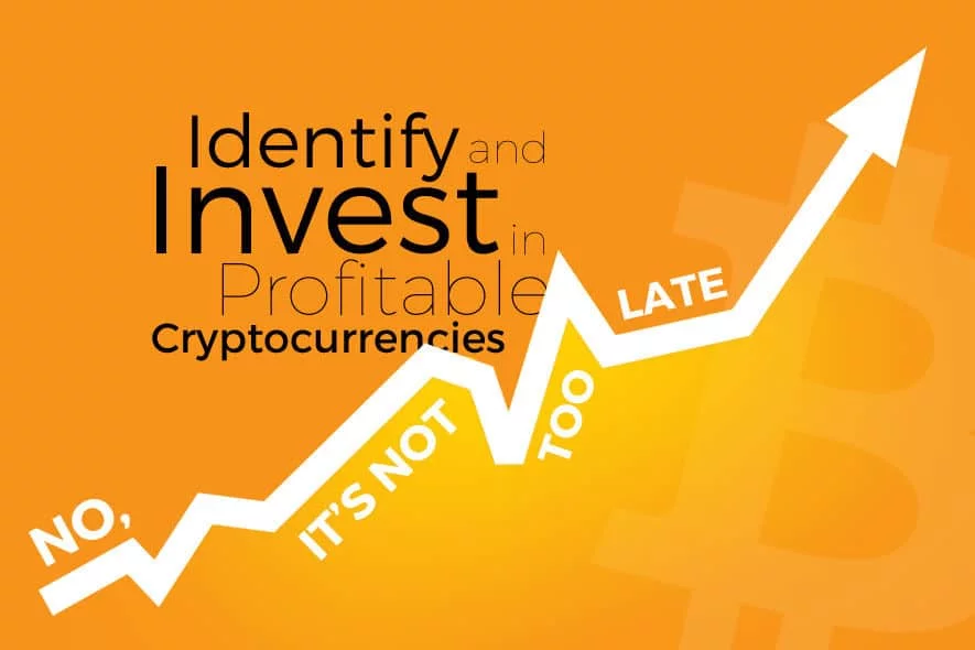 Why is cryptocurrency investing so speculative?