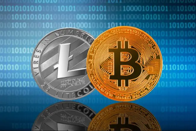 Litecoin's future
