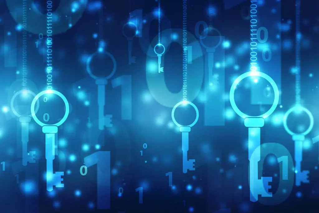 What are the disadvantages of cryptography?
