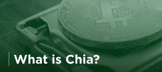 Is Chia profitable?