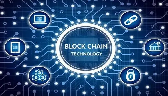 How do Chia coins work?