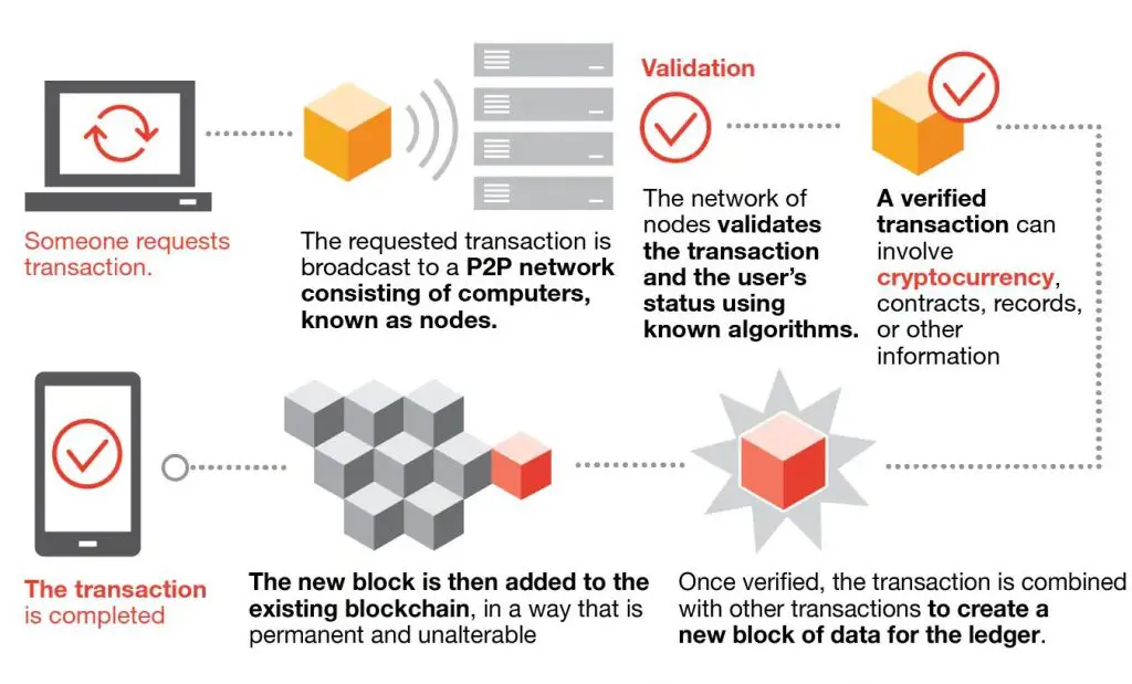 What is the difference between DeFi and digital cryptocurrency?