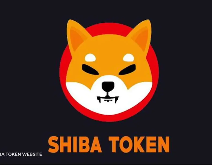 What is a Shiba Inu crypta