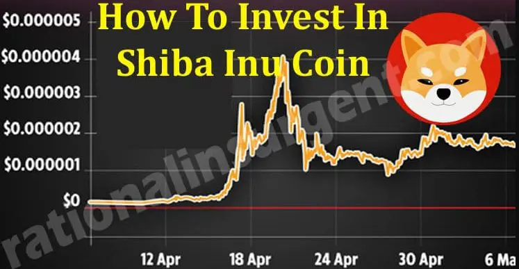 Shiba Inu where to buy