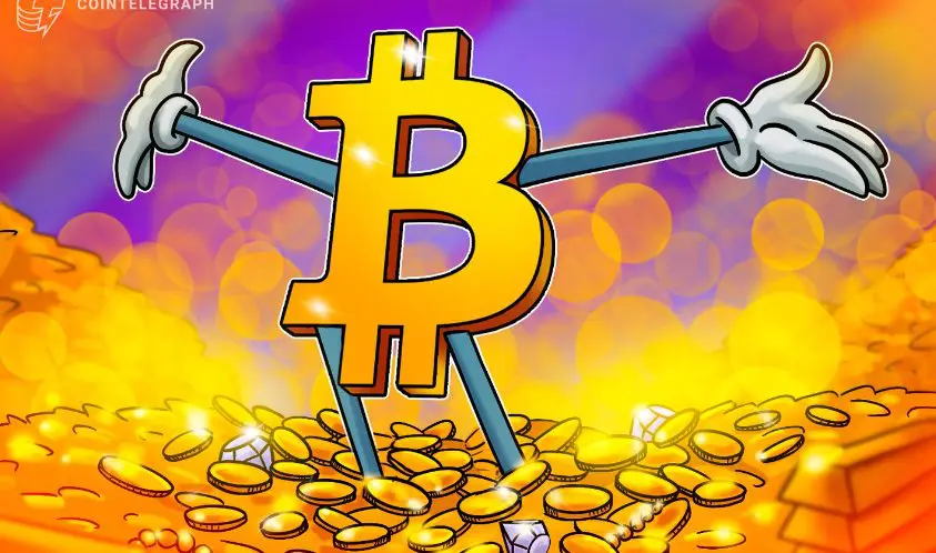 What does Bitcoin price volatility imply for investors?