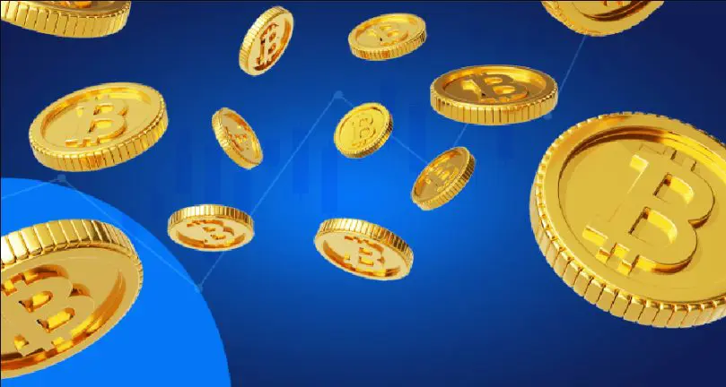 How do newbies invest in bitcoins?
