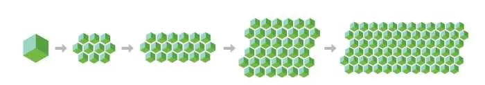 Is Cardano the next Ethereum?
