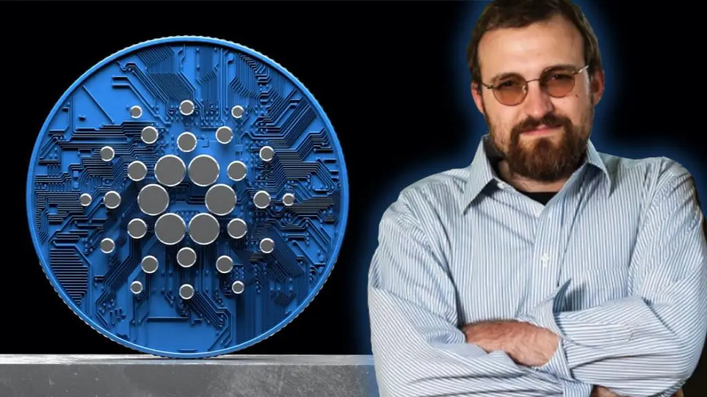 How much money can be made from stealing ADA?
