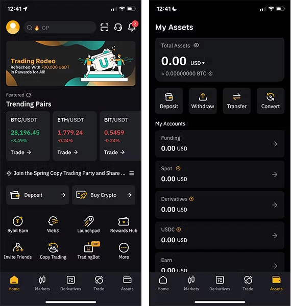 Bybit Overview